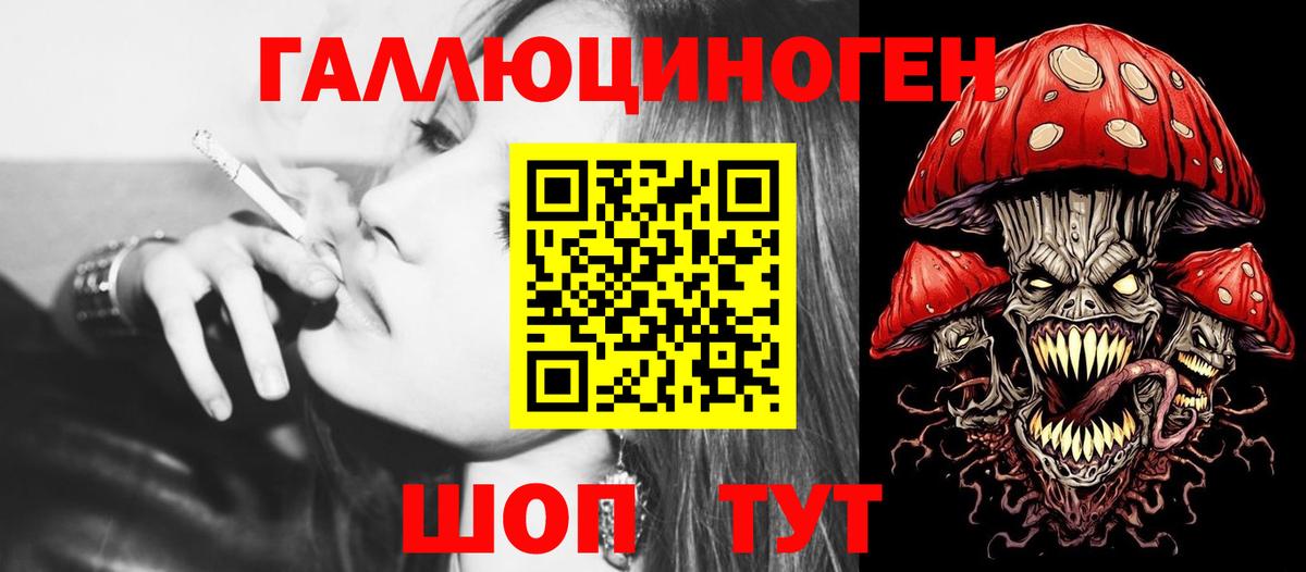 Псилоцибиновые грибы Psilocybine cubensis Карачаевск
