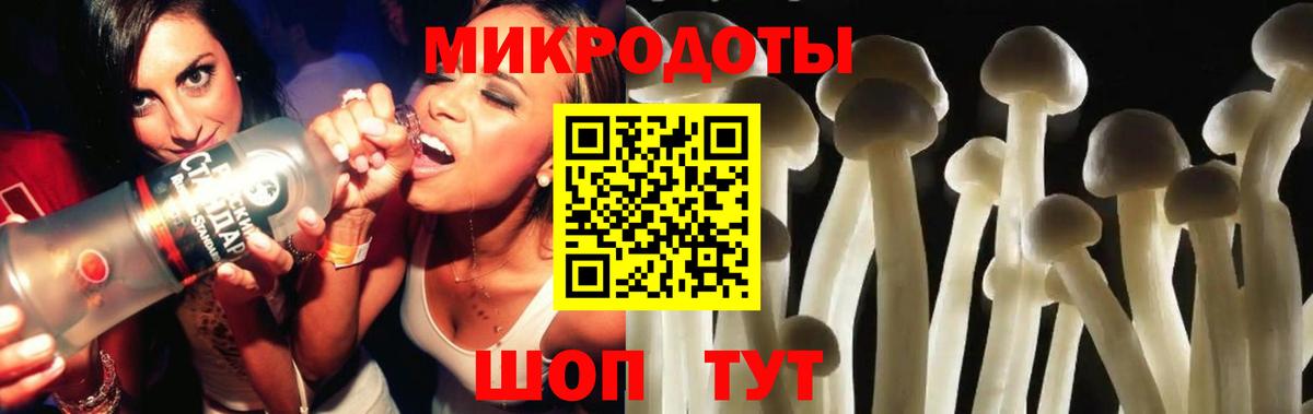 как найти   Вход с VPN  Карачаевск  Галлюциногенные грибы MAGIC MUSHROOMS  Псилоцибиновые грибы Psilocybine cubensis 